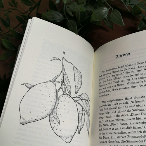 Book-Illustration of a lemon