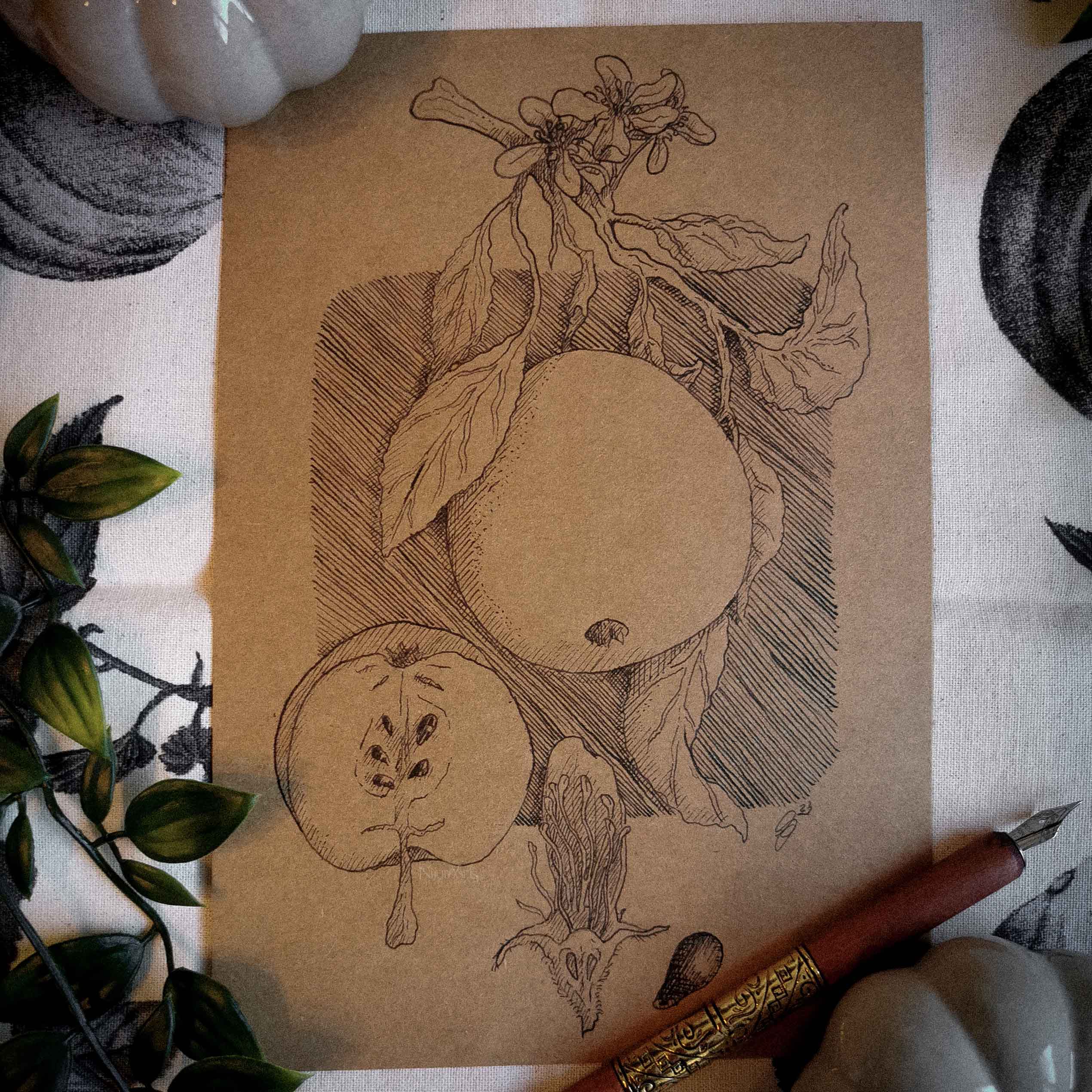 traditional ink artwork of an apple on vintage brown paper